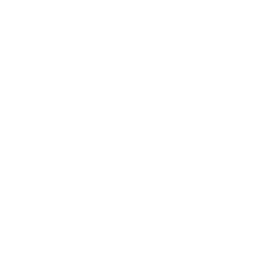 White energy icon